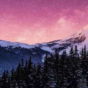 Meet your Posher, Daisy